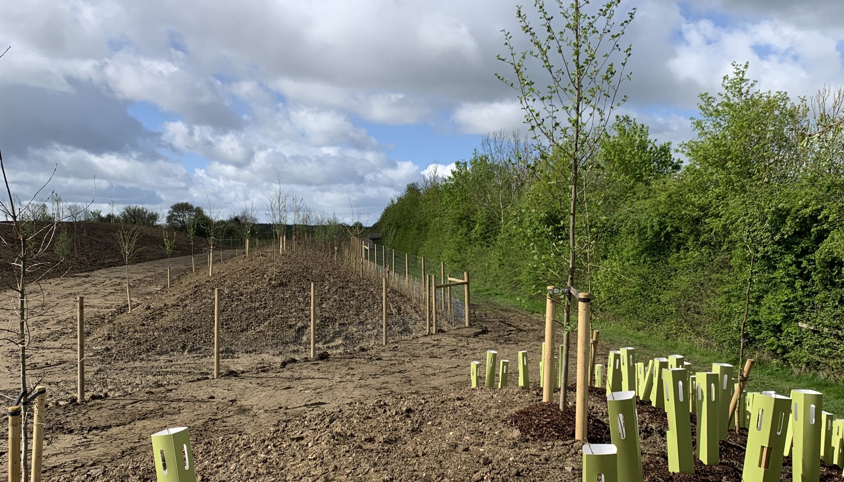 Landscaping wildlife works, May 2024